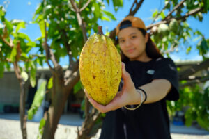可可雅米チョコレート庄園