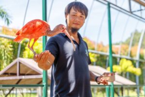 九九峰動物楽園（JOJOZOOパーク）